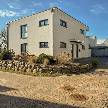 Sonnenblick Nova בינץ